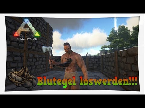 Creme-Balsam für die Gelenke zu kaufen Knie Taube