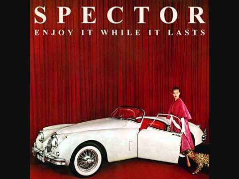 Twenty Nothing - Spector
