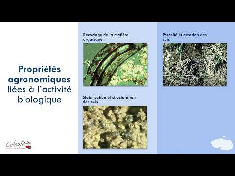 Qu'est ce que la fertilité biologique des sols ?