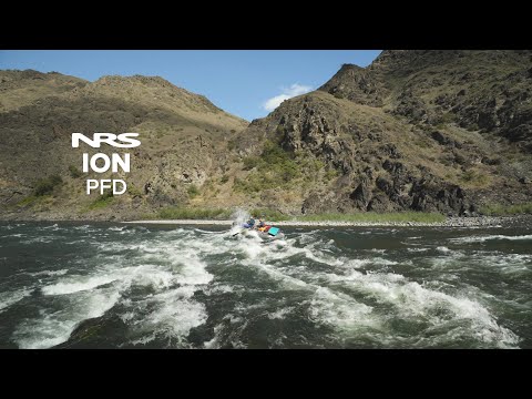 NRS Ion PFD