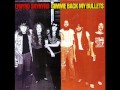 Lynyrd Skynyrd "Searching"