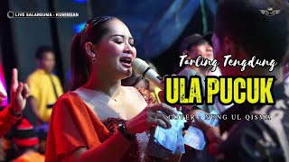 Download lagu ULA PUCUK ~ NUNG UL QISMA // CITRA NADA LIVE DESA SALAREUMA (DUSUN WAGE) // CIPICUNG - KUNINGAN mp3