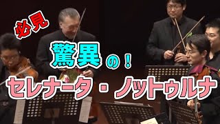 Download lagu モーツァルト／セレナータ・ノットゥルナ3楽章を最高に遊び尽くす！ N響コンマスのマロ（篠崎史紀）さんとコンマス、首席奏者たち　オケ創チャンネルダントツの再生回数　何度も見たくなる。(^｡^) mp3