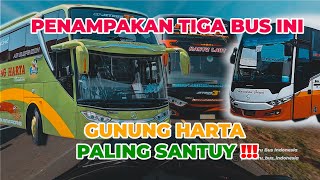 Download lagu HIKMAH BABE TELAT !!! KETEMU BUS GUNUNG HARTA TRONTON!!! | HARAPAN JAYA SCORPION | HANTU LAUT | mp3 Download lagu HIKMAH BABE TELAT !!! KETEMU BUS GUNUNG HARTA TRONTON!!! | HARAPAN JAYA SCORPION | HANTU LAUT | mp3