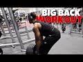 BACK & ARMS WORKOUT I EXERCISES THAT YOU SHOULD BE DOING