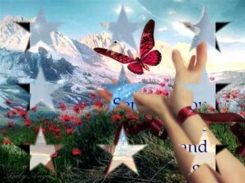 Vem Senhor Frei Rinaldo Stecanela