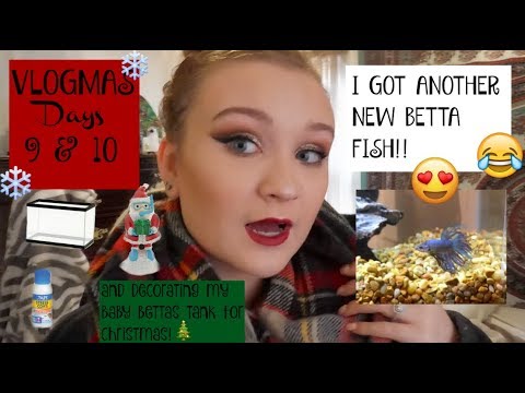 I GOT ANOTHER NEW FISH! plus setting up his tank! VLOGMAS DAYS 9&10|ItsAnnaLouise