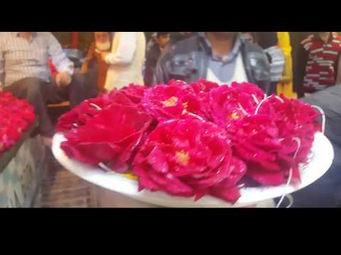 Ghiora Aharoni: The Road to Sanchi