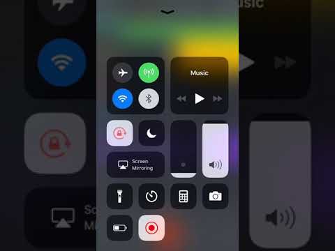 Rasta DaDon x I got money on my mind🧠 🤩💰💸🤑💯Trifflen ENT.