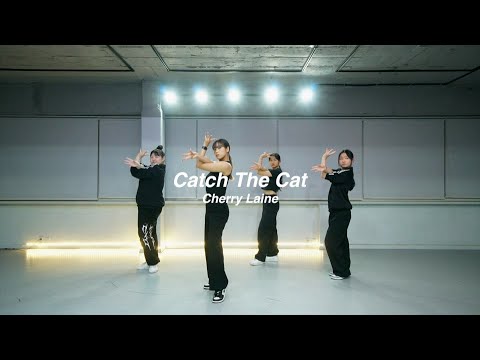 Cherry Laine -- Catch The Cat | WAACKING | 왁킹 | 부천댄스학원 [AZ] 에이젯댄스학원