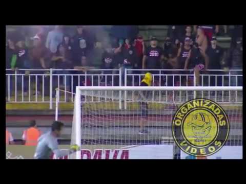 Torcida organizada joinville atira rojões no gramado