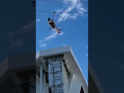 Thumbnail for Free fallin’ 😀 Flying fox for all ages P & O Pacific Adventure #likenoplaceonearth