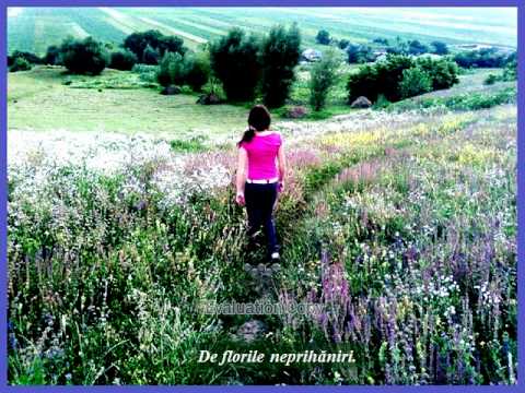 „DORESC SĂ FIE NUMAI CRINI"1.avi