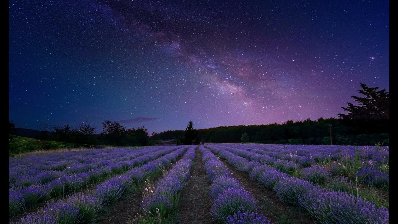 MOON-VINE / Orangestar & 夏背. (arr. by Kirisame. feat.IA)