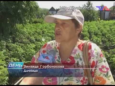 Лисаковск, выпуск программы «День» от 15 июля 2015г