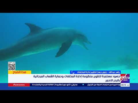 لحماية الشعاب المرجانية.. خطة حكومية للقضاء على الممارسات العشوائية بالبحر الأحمر 
