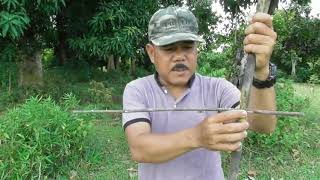 Download lagu jebakan dari bambu untuk bermacam madam burung mp3
