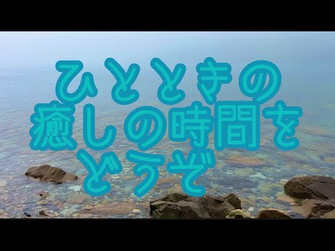 哲学科 ヒーリングタイムです。