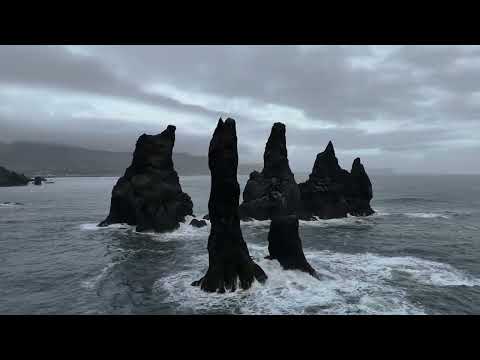 Black Sand Beach in Iceland