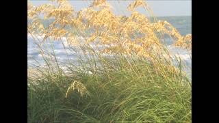 Hot Fun in the Summertime gameplay video by rring, 2:38 duration