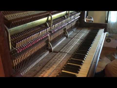 Steinway K 1903 Vertegrand image 20