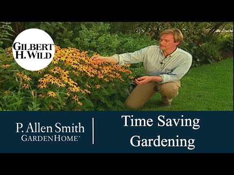Seasonal Timesaving Gardening Ideas | Garden Home (108)
