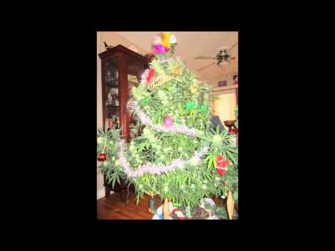 SERIALI ft. SEDRA - GZUAR VITIN E RI SHQIPTARVE