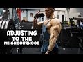 ADJUSTING TO THE NEIGHBOURHOOD | Back Workout