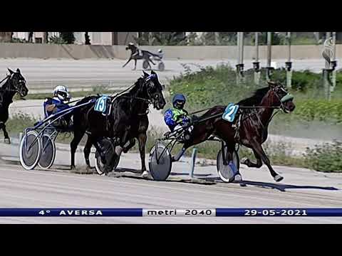 Aversa trotto 29 Maggio 2021 - 4° Corsa