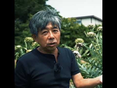 園芸 アーティチョーク、さまざまな利点