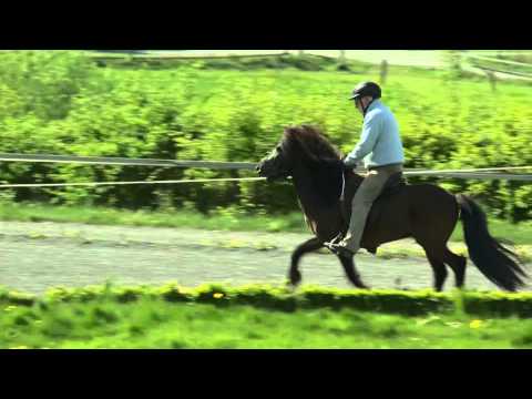 Barón von Aegidienberg