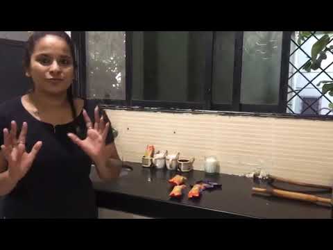 Home-made Biscuit ice cream