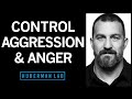 Understanding & Controlling Aggression | Huberman Lab Podcast #71