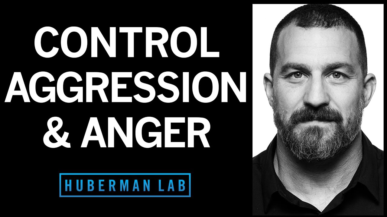 Understanding & Controlling Aggression | Huberman Lab Podcast #71