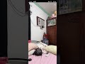 Sexy Asia Shimizu Hot Live On BIGO
