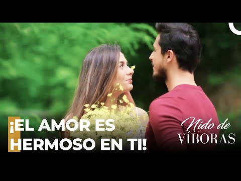¡Momentos De Amor De Ejder Y Nagme! - Nido De Víboras