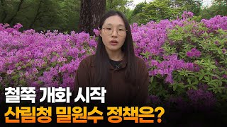 [출근길인터뷰] 철쭉 개화 시작…산림청 밀원수 정책은? / 연합뉴스TV (YonhapnewsTV)