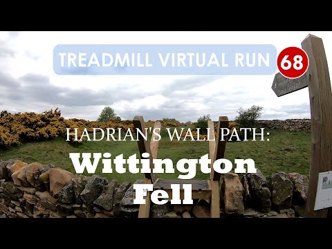 Hadrian's Wall Path 4/13, Wittington Fell, Northumberland | Treadmill Virtual Run 68