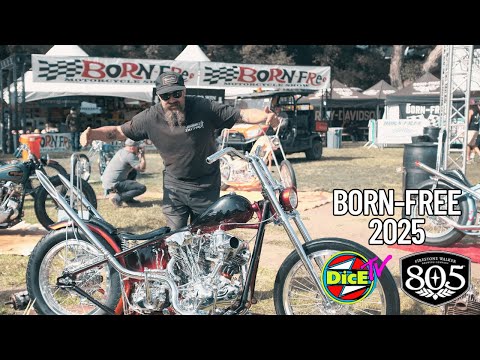 BORN-FREE 2025 | The Greatest custom motorcycle show on Earth #DicEtv