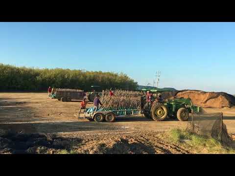 Almacén de nogales Rancho Cuatro Caminos