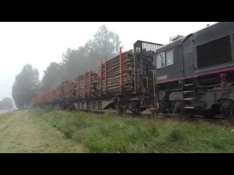 (HD) Rush Rail T66401 Approaches Mora, Sweden With A Loaded Timber Train 11/9/15.