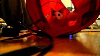 Bones and his red tube 03