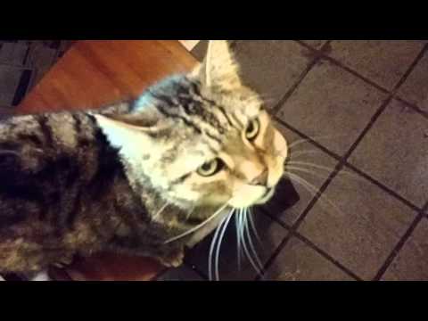 Mike Carr on a visit from his nursing home to his own Home.