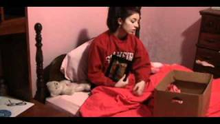 Click Click - The Wooden Wings