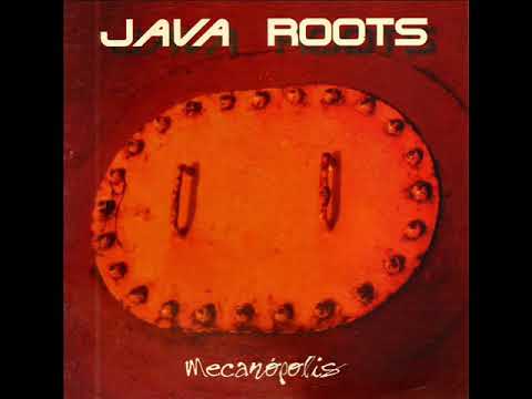 Momento de Cor - Java Roots