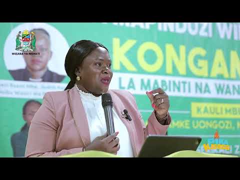 SERIKALI KUENDELEA KUTEKELEZA MKAKATI WA NISHATI SAFI YA KUPIKIA-KAPINGA