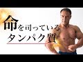 筋肉をつけるだけじゃない!山本義徳氏が語るタンパク質の真実