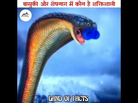 बासुकी और शेषनाग में कौन है सबसे शाक्तिशाली / basuki versus sheshnag #shorts #facts #yt