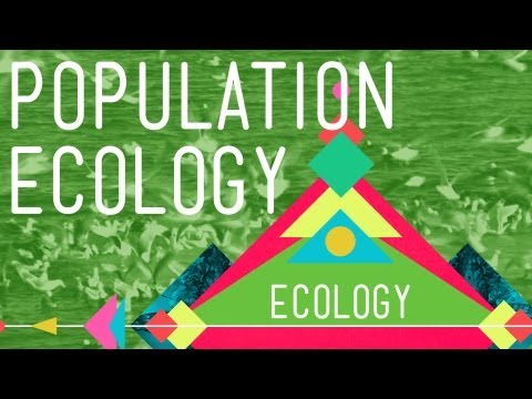 Population Ecology: The Texas Mosquito Mystery - Crash Course Ecology #2