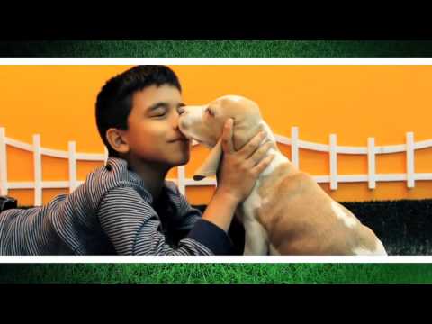 BETZAIDA Y ASOCIADOS